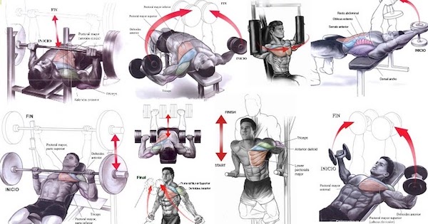 Completing a variety of exercises ensure optimal and uniform muscle growth