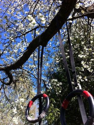 You can train with your gymnastic rings anywhere there's an overhead anchor point