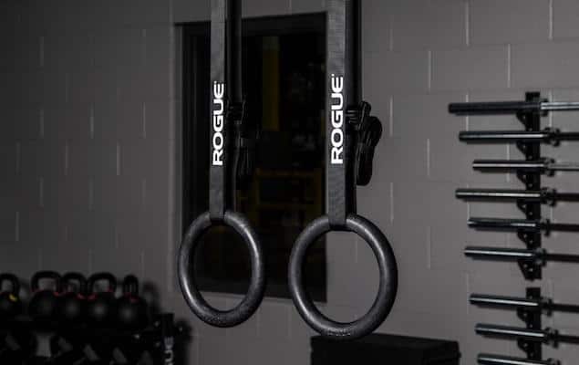 Rogue's echo rings are identical to their steel rings, except their made of plastic