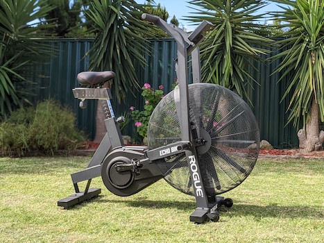 Rogue Echo Bike on lawn