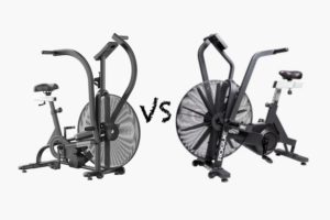 Xebex air bike vs Rogue Echo bike