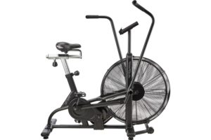 Assault airbike review