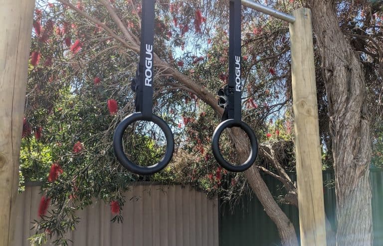 rings vs pull-up bar, dip bar, and other calisthenics equipment
