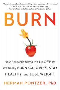 The cover of the book Burn by Herman Pontzer, which shows an apple with its stem on fire like a fuse.